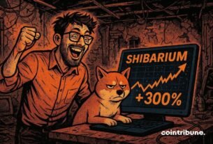 300% Increase in Transactions Shibarium: All Hype!
