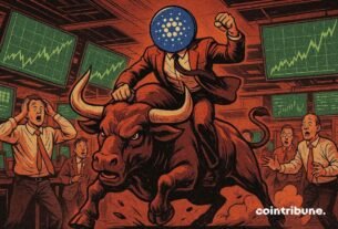 Cardano: Accumulation zone signaling a strong bull run