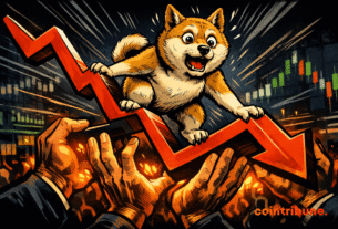 Dogecoin Drop: What Hidden Data Really Reveals