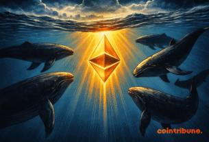 Ethereum: The big holders are back, but the danger remains intact