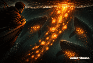 Massive XRP buys hint at hidden market shift