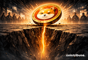 SHIB is testing a decisive supply wall on exchanges